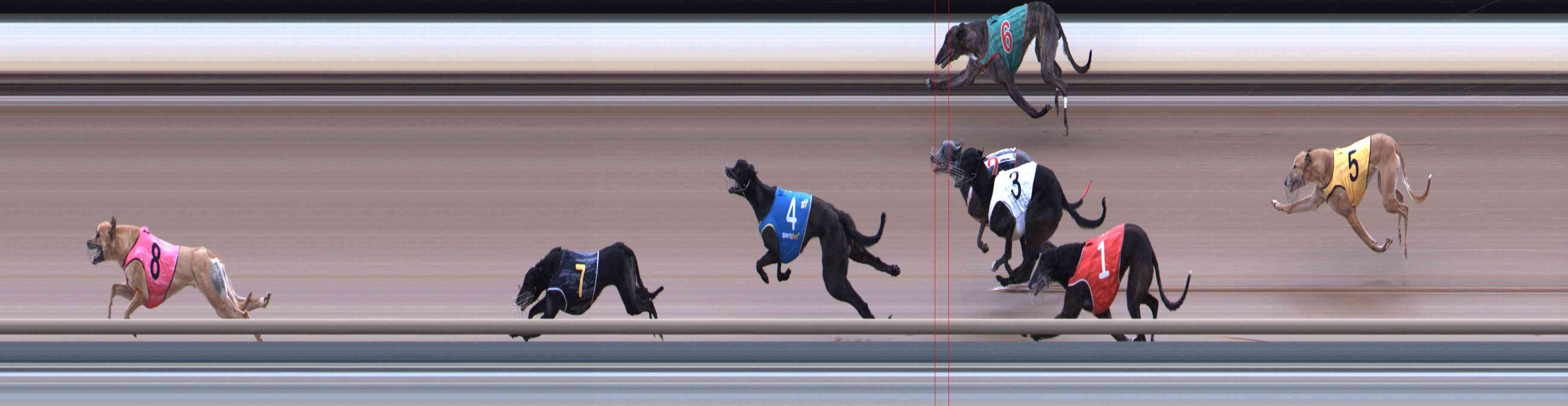 Race result finish photo